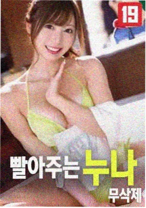 旧书店的夏天剧集海报